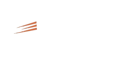 Speedwagen Transporte